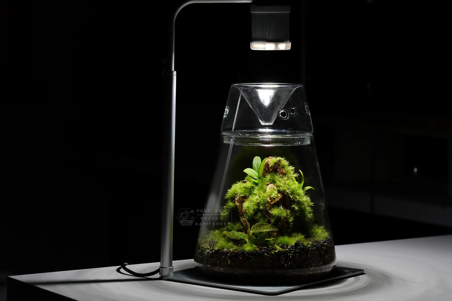 苔蘚育植燈｜Moss Nurture Light