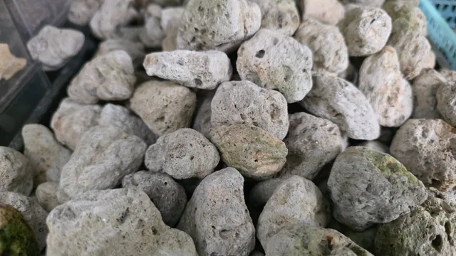浮石