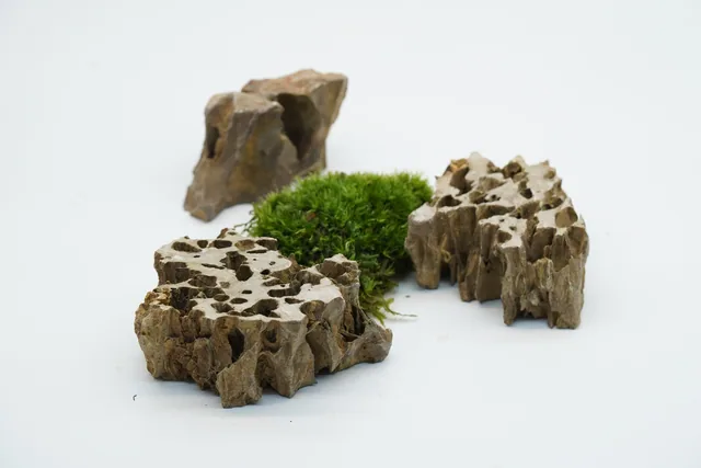 切段虎皮石