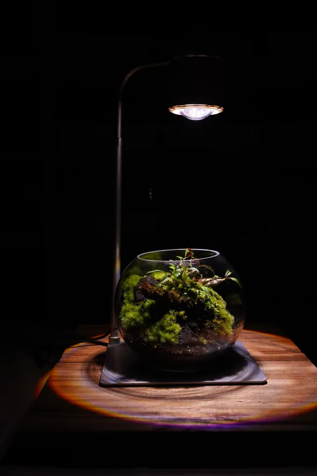苔蘚育植燈 Pro｜Moss Nurture LIGHT PRO
